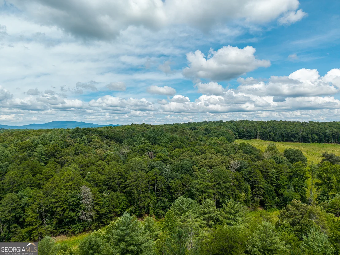 Photo of 0 White Pine Road
