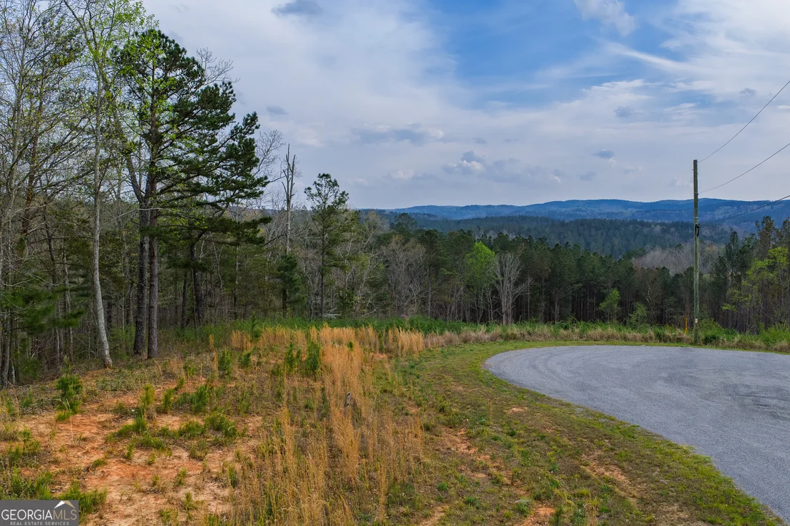 Photo of LOT 43 Bucktail Way