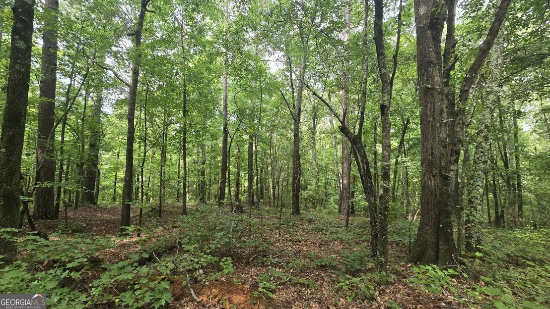 Photo of 3065 Smokey Road