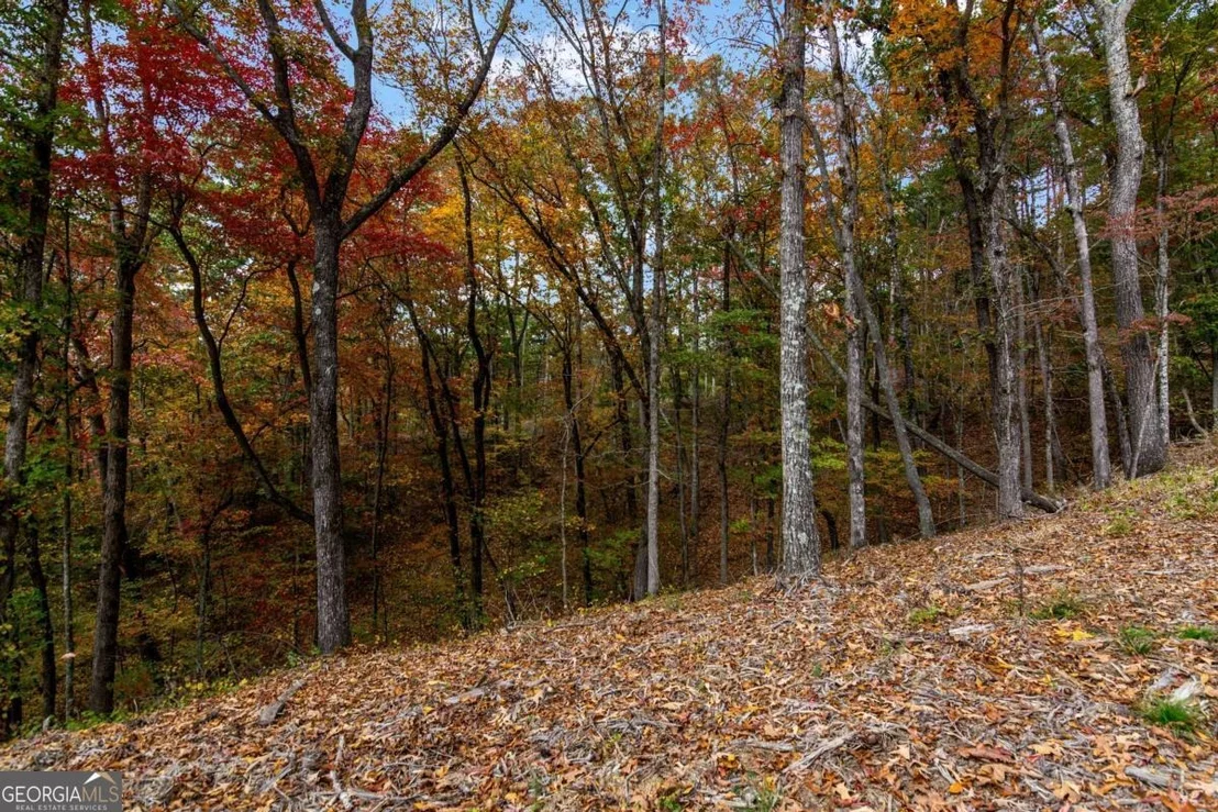 Photo of LOT 269 Canoe Way