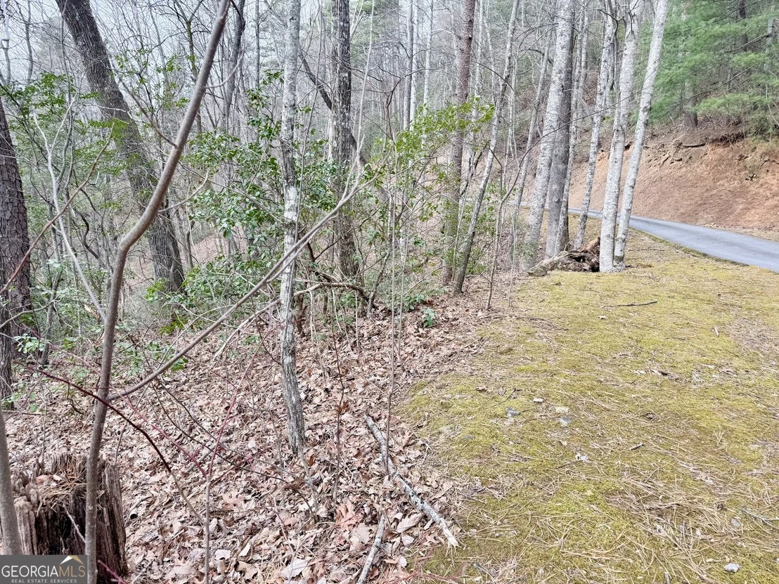 Photo of 0 Monarch Lane