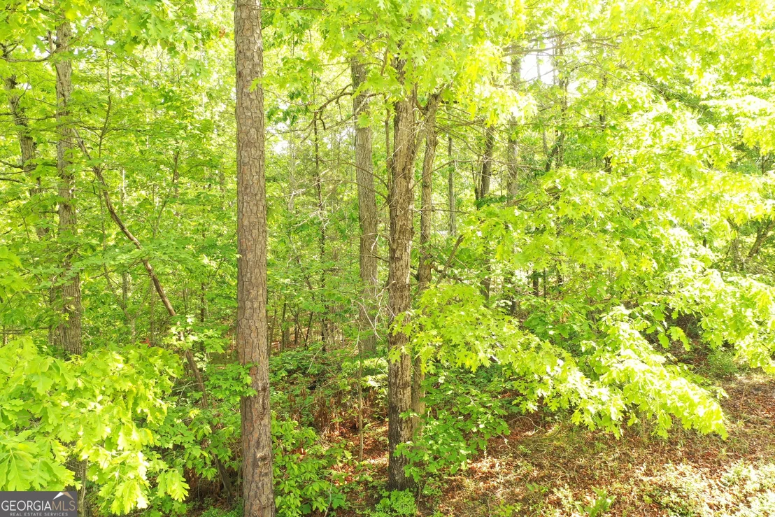Photo of 20 Eden Woods