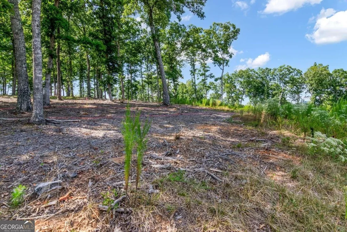 Photo of LOT 84 Ridge Drive