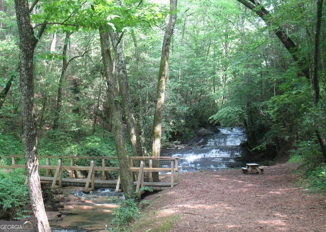 Photo of 6X Laurelwood