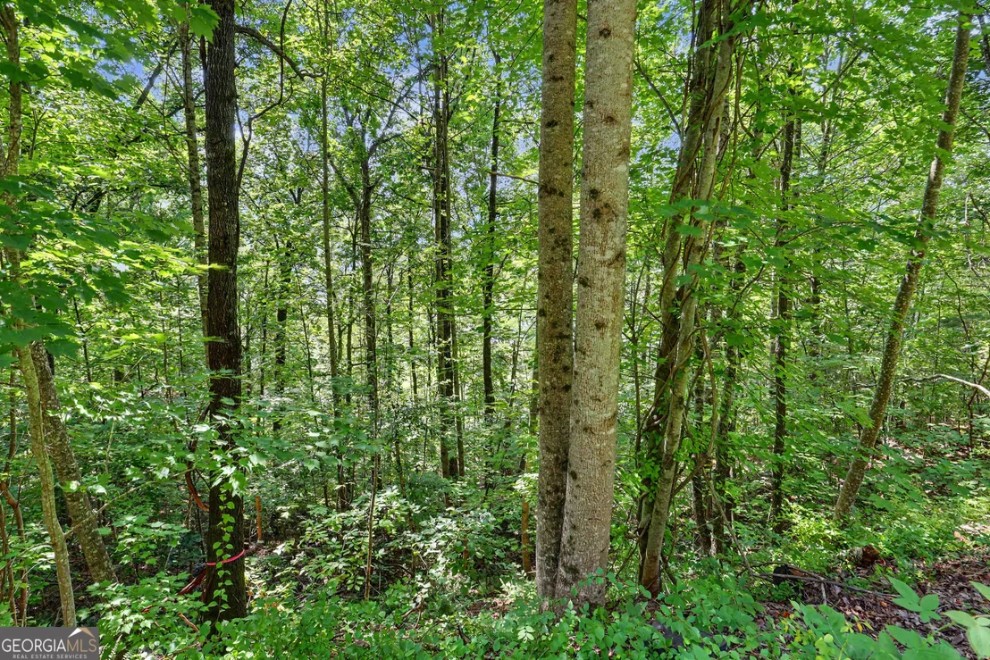 Photo of 0 Waterfall Drive 5D