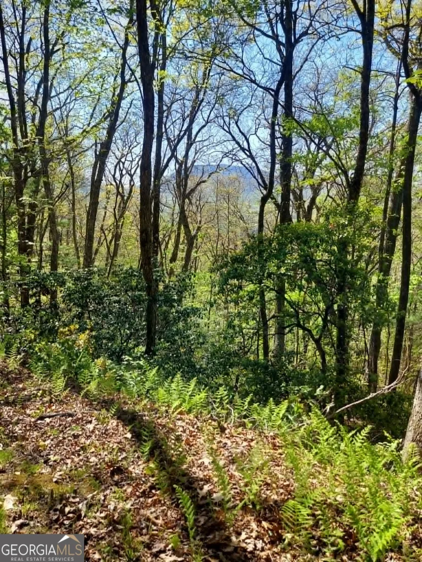 Photo of 0 LOT 40 Pipetrack Gap Road