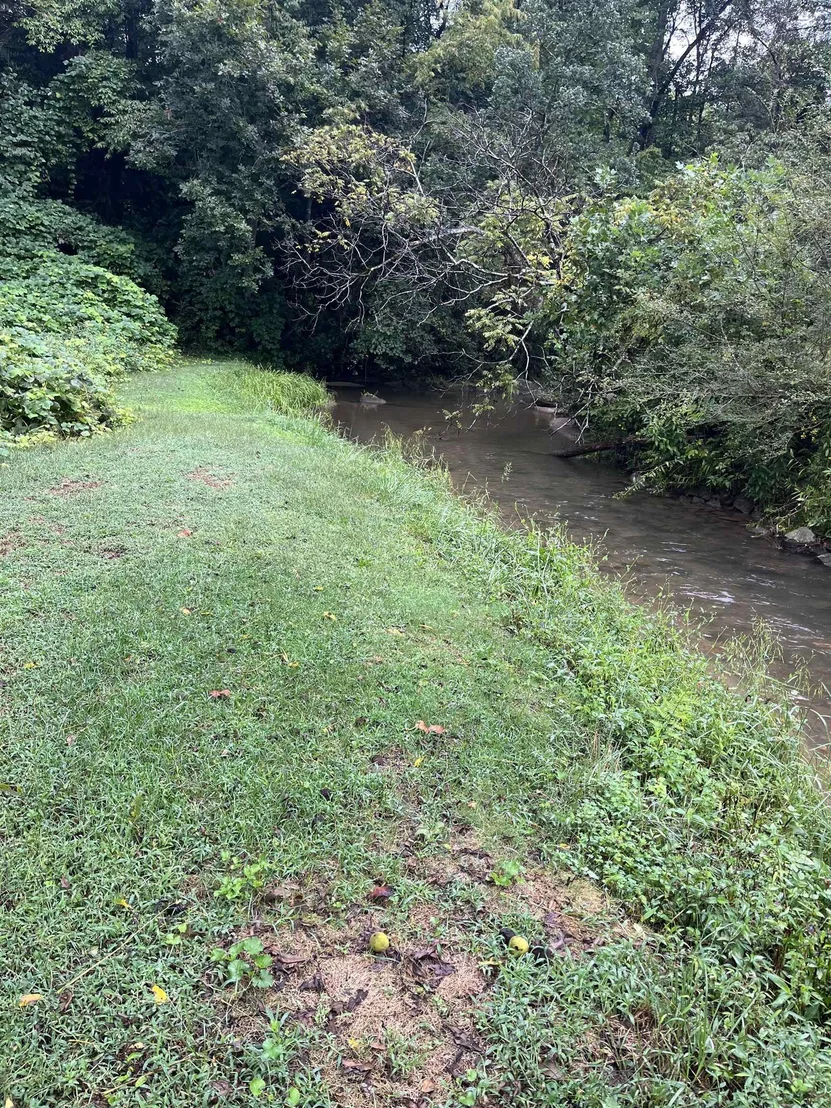 Photo of 5 Bryson Branch Road