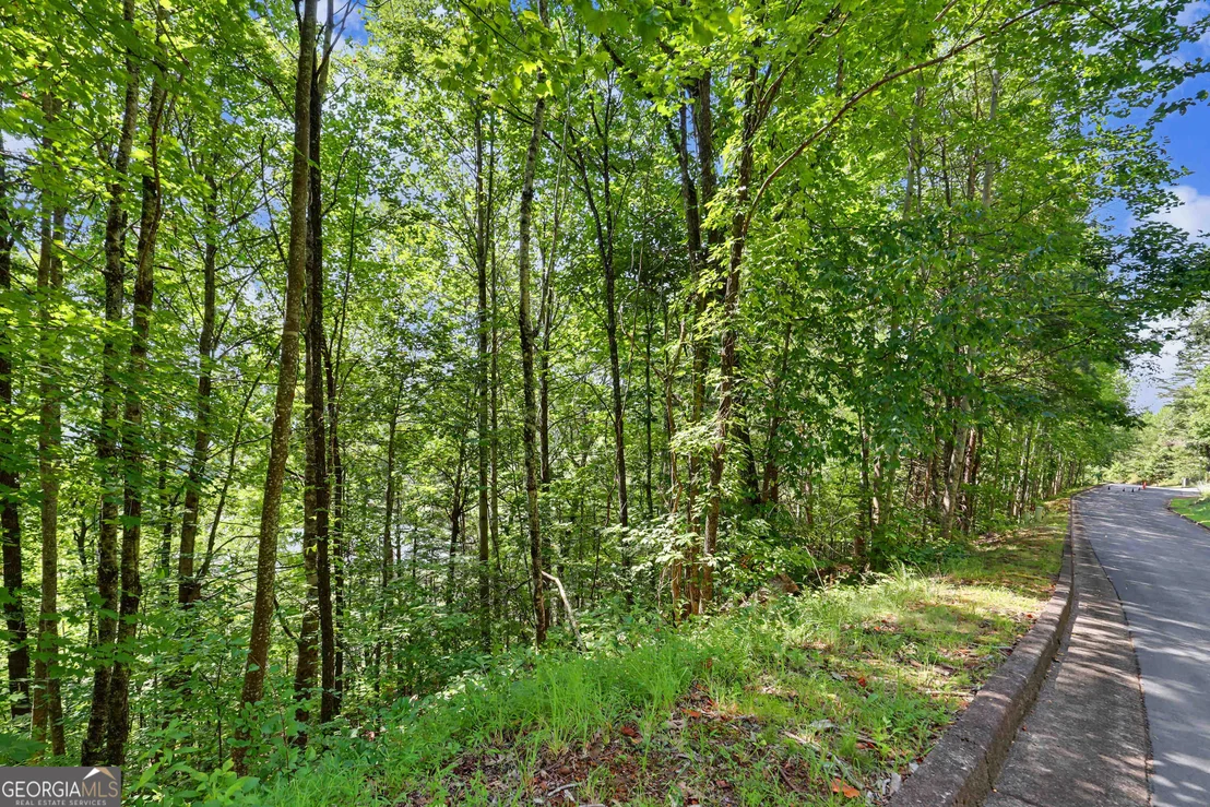 Photo of 0 Waterfall Drive 5D