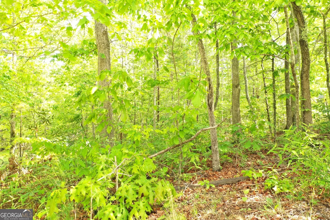 Photo of 20 Eden Woods