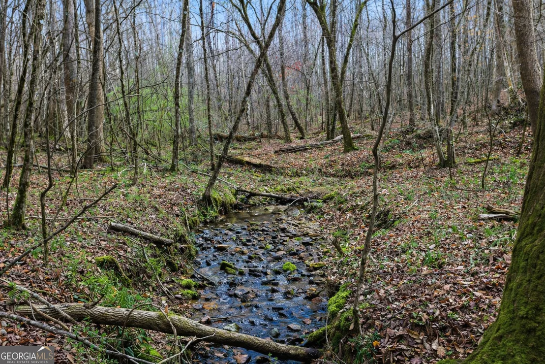 Photo of Unit LOT3 at 2325 Stonepile Road