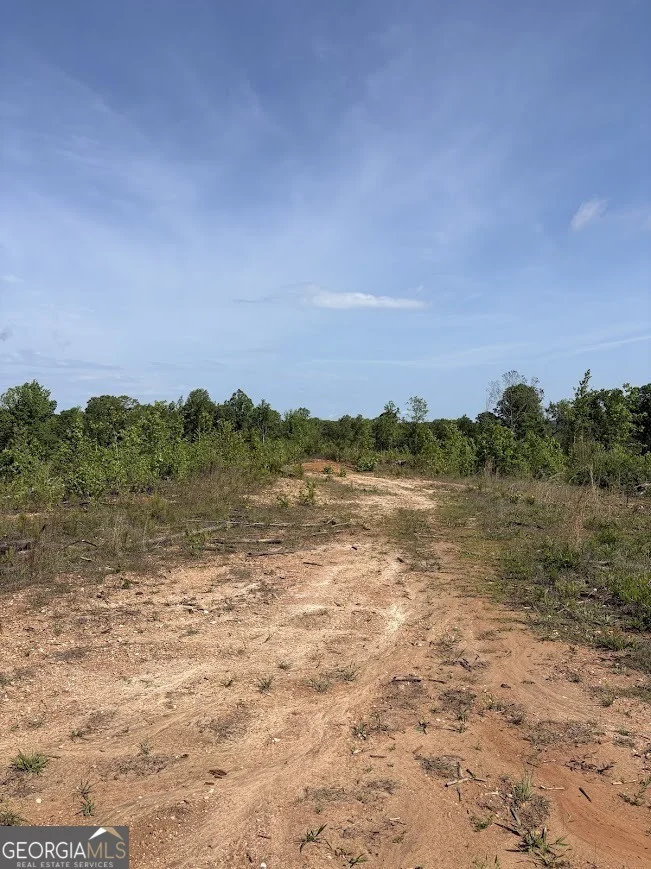 Photo of 0 Roy Dean Road