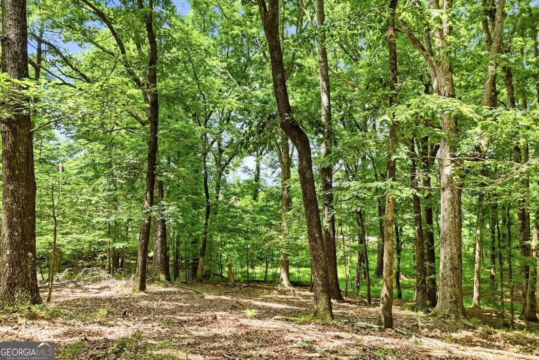 Photo of 35 Quail Walk