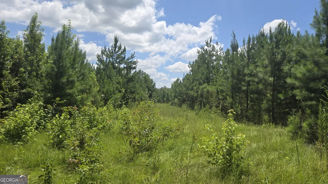 Photo of 0 East Highway 84 NE