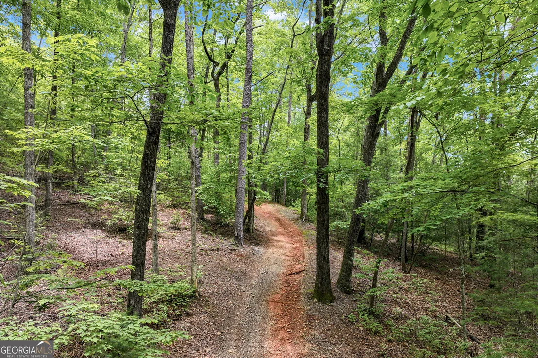 Photo of 2001 Chimney Mountain Flats Trail