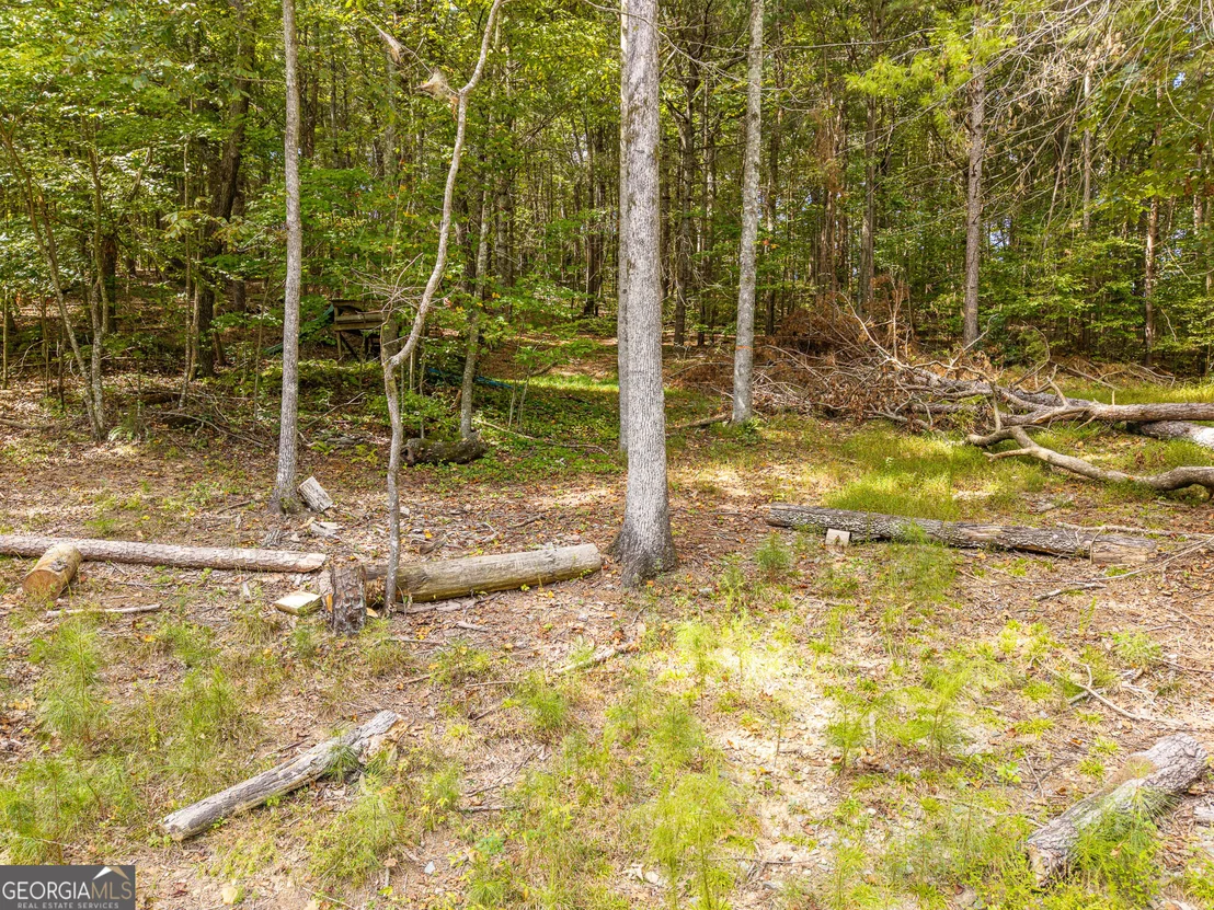 Photo of 54 Cunningham Mountain Road