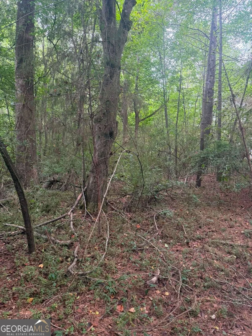 Photo of 822 Tabby Lane
