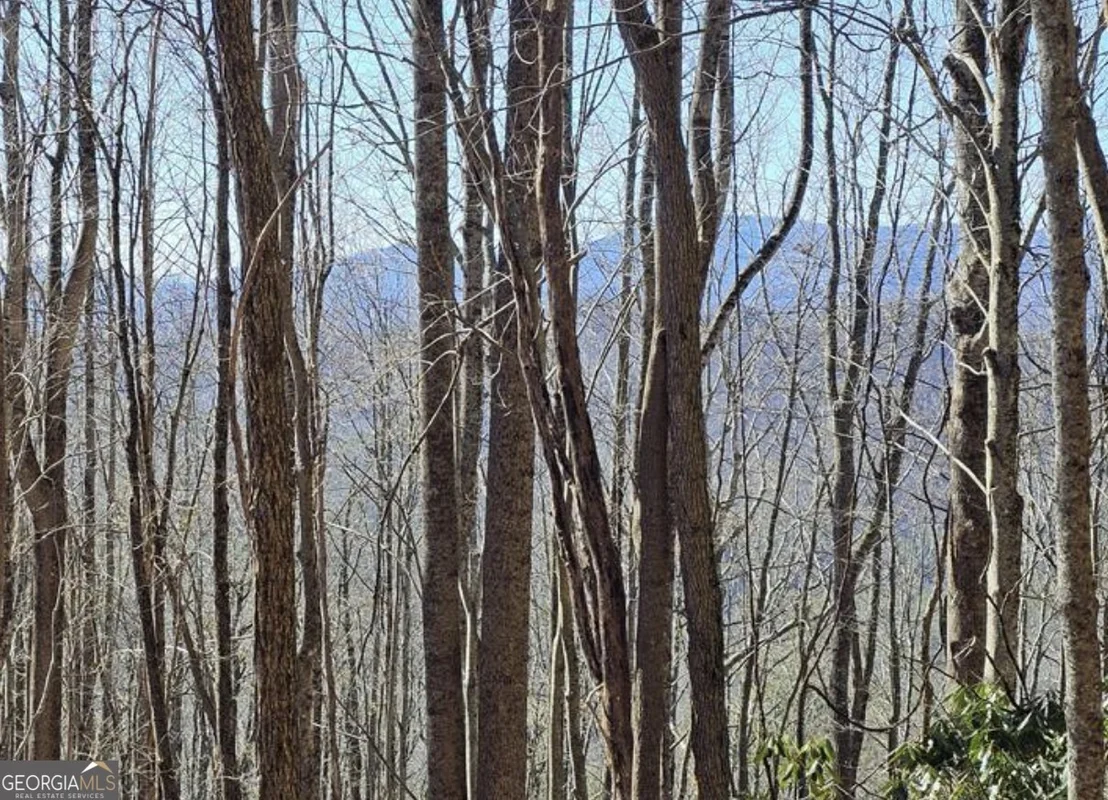 Photo of 0 Highland Gap Road