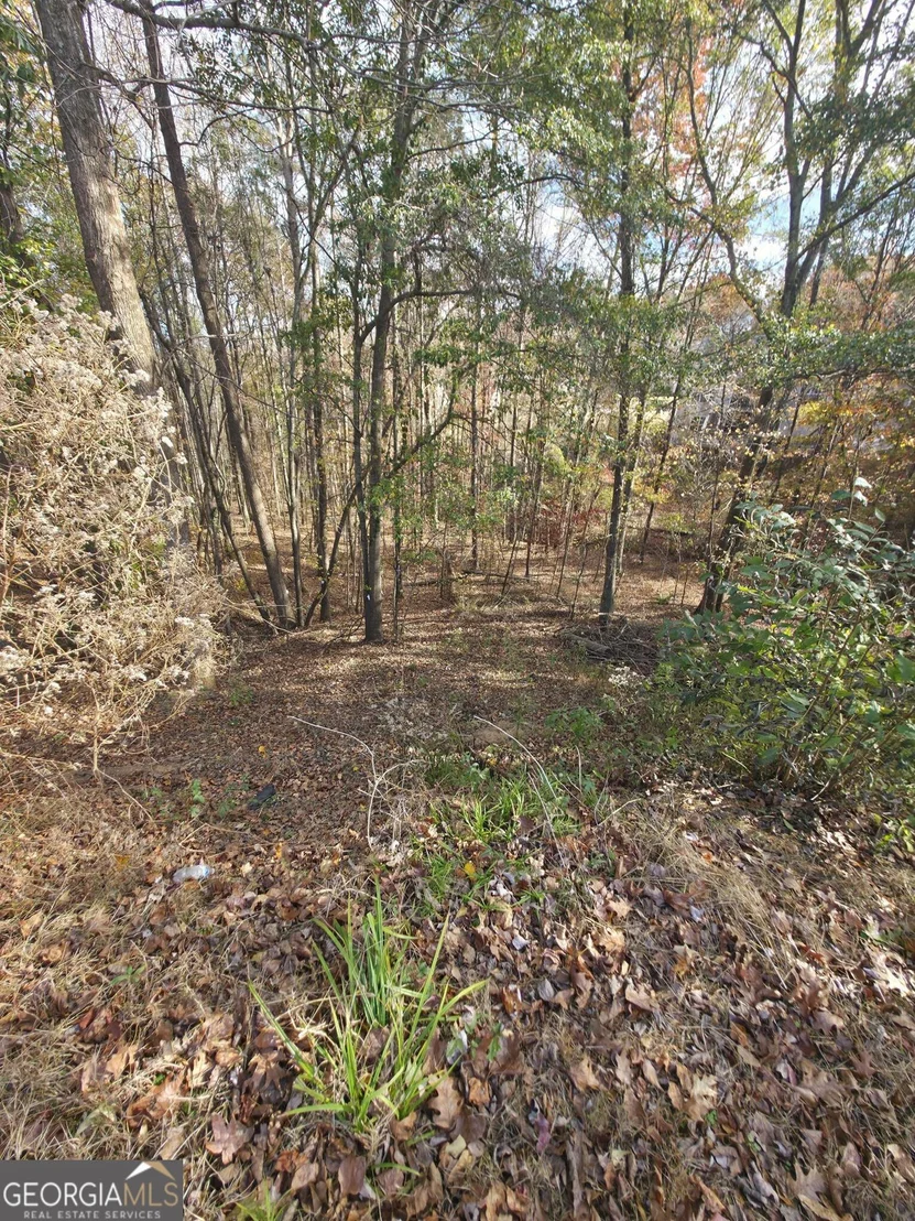 Photo of 2412 Snowshoe Bend