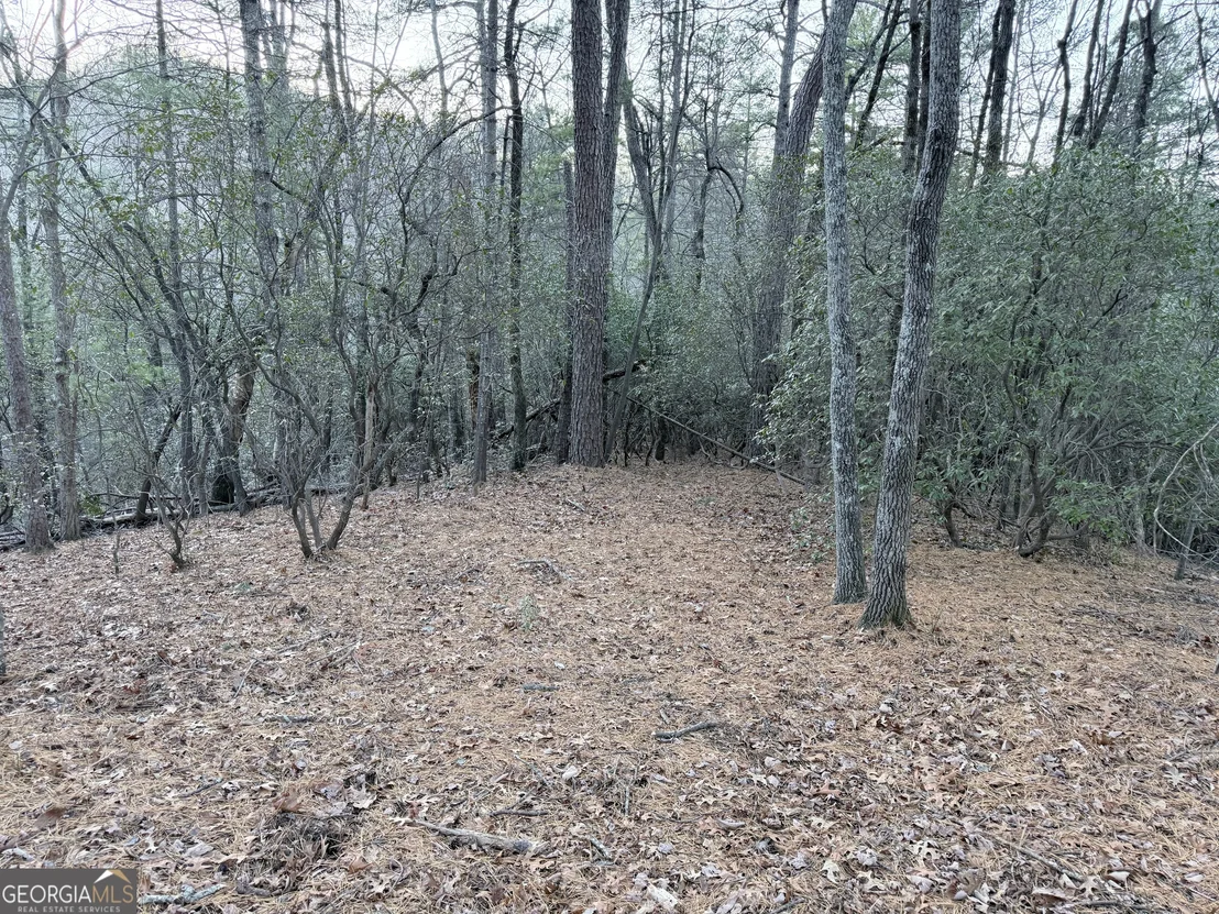 Photo of 0 Timber Bluff Drive