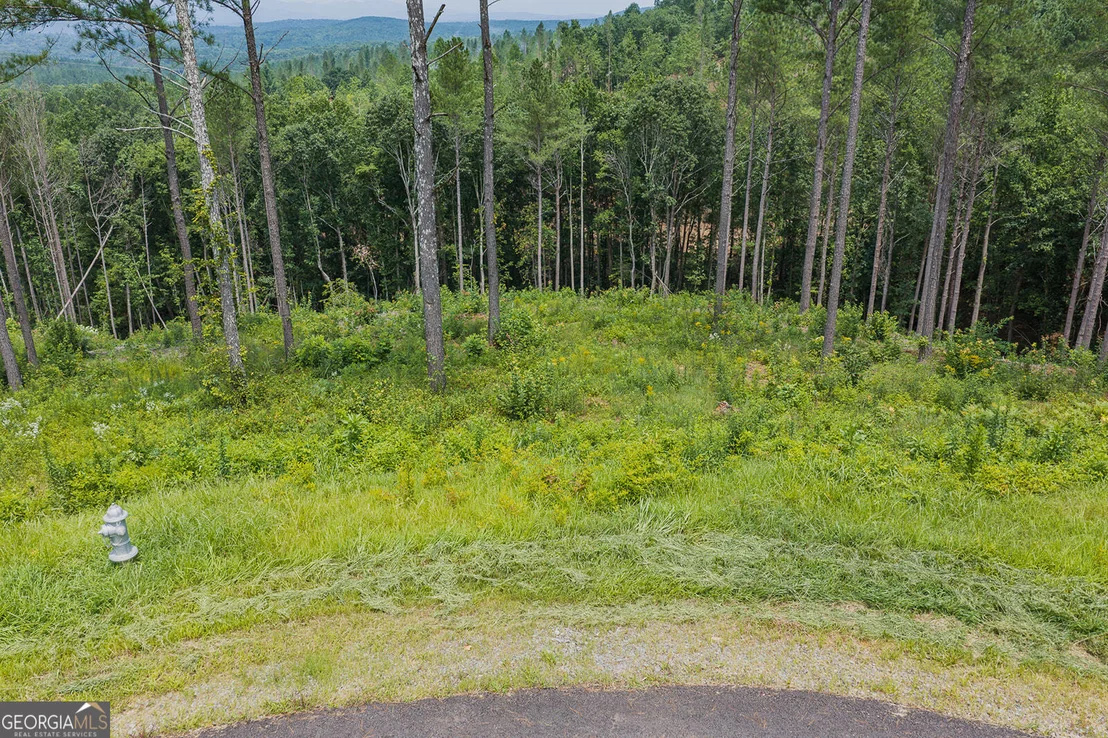 Photo of LOT 63 Lacey Springs Lane