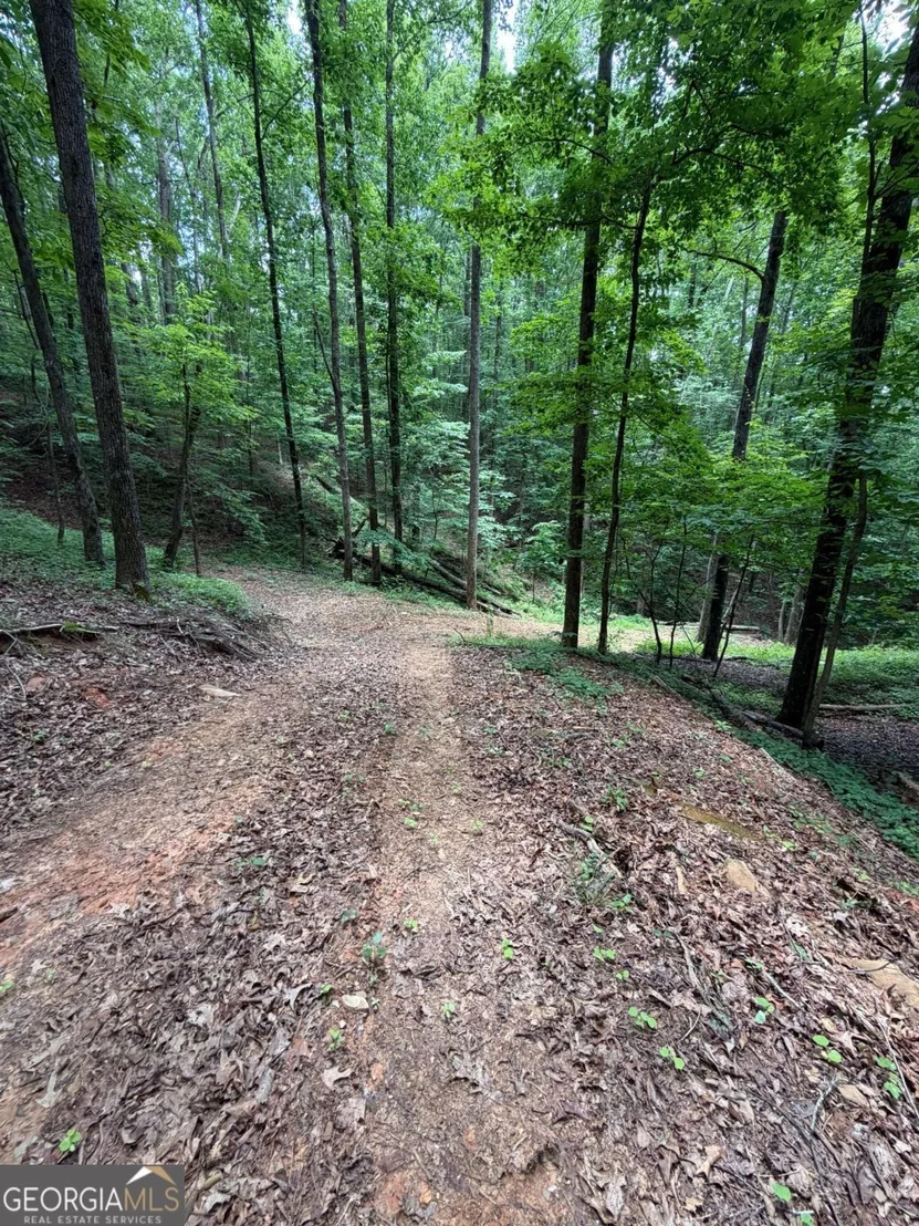 Photo of 131 Nicholson Lane