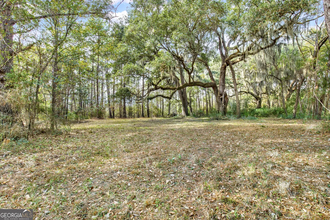Photo of 199 Burton Road