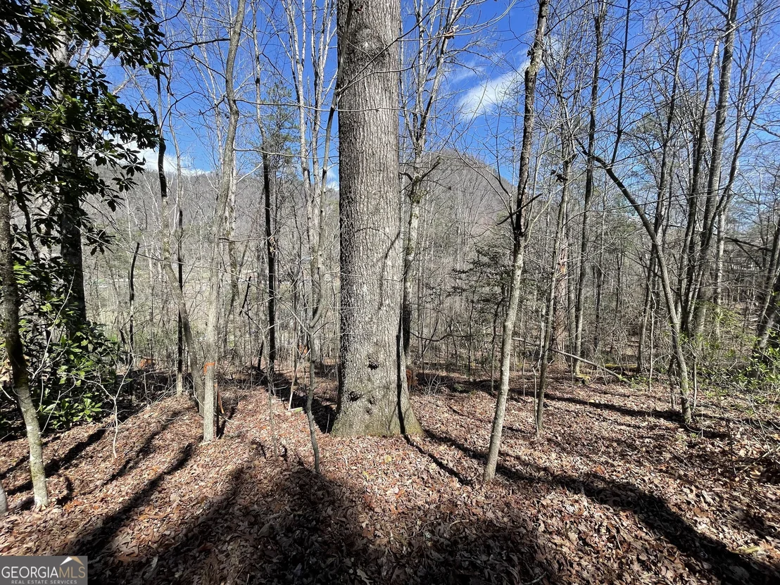 Photo of 0 Bridge Creek Road