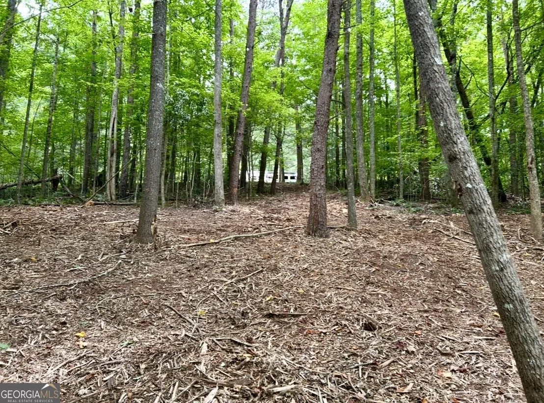 Photo of 10042 Doublehead Gap Road
