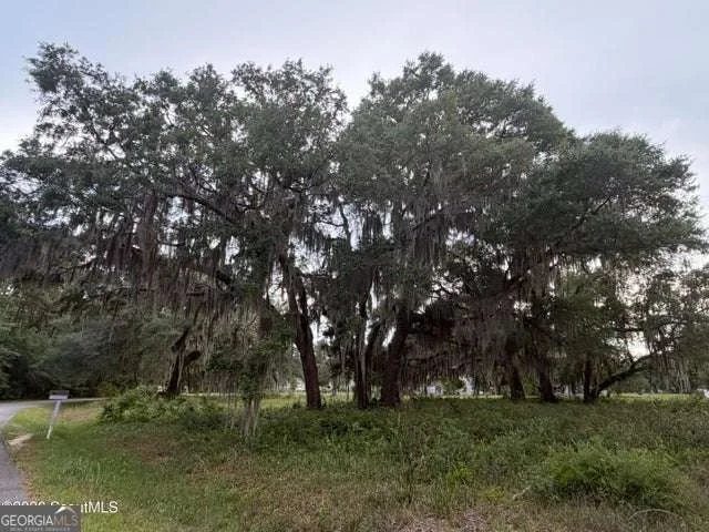 Photo of Unit LOT38 at 119 Sapelo Circle