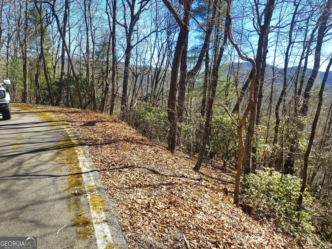 Photo of 0 LOT 41 Pipetrack Gap Road