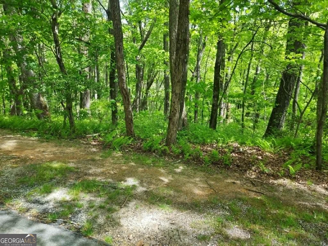 Photo of 0 LOT 5 Rebel Circle