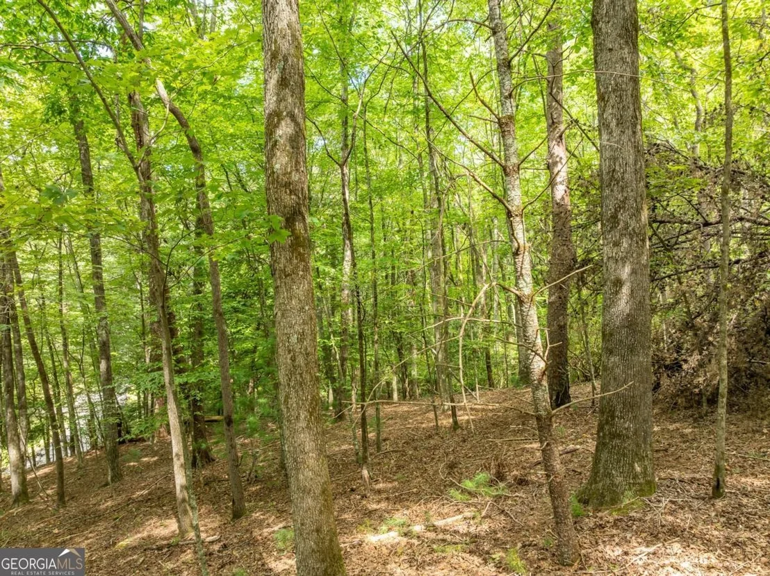 Photo of LOT 272 Seneca Drive