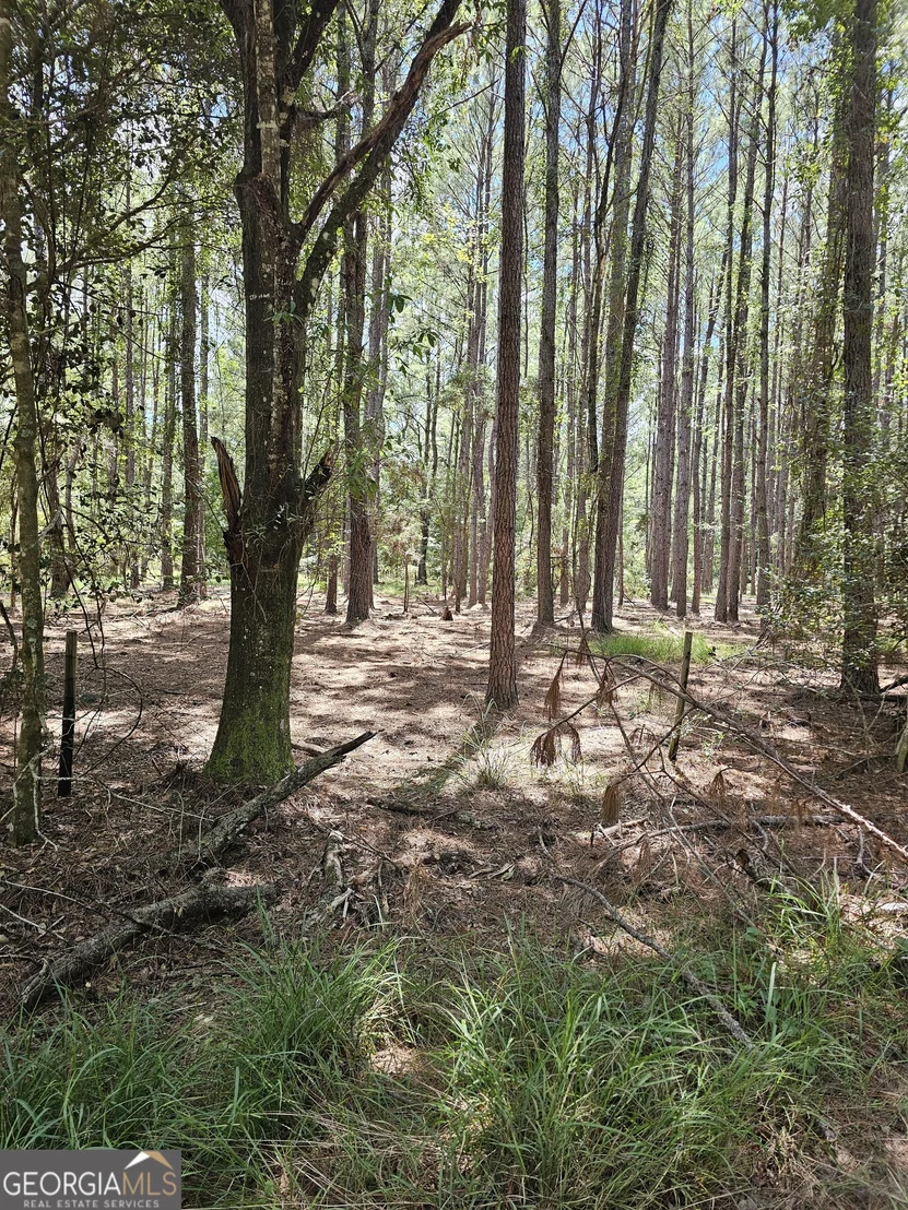 Photo of 3047 John Burch Road