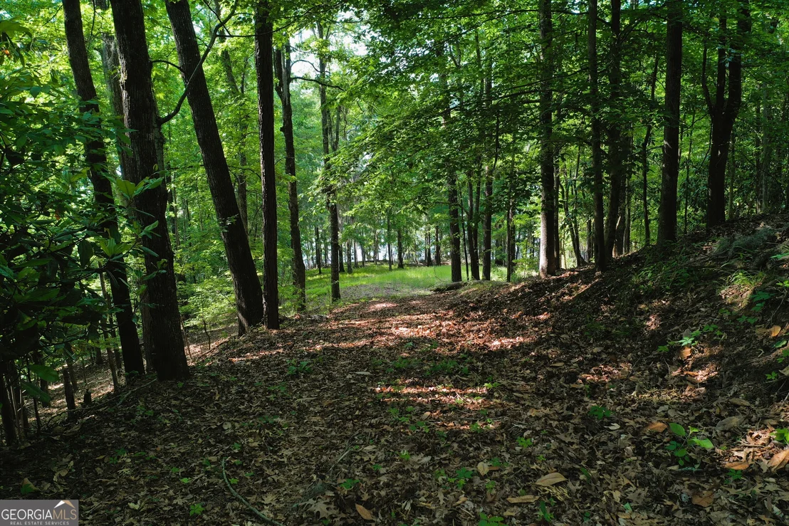 Photo of 0 Watson Spur Road