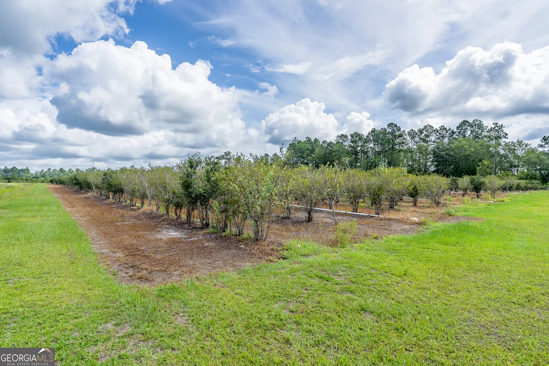 Photo of 7848 Trudie Road