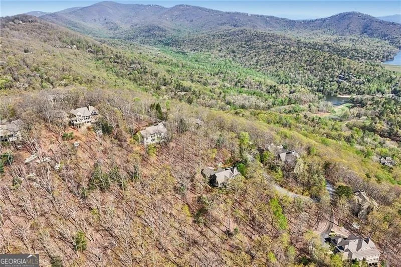 Photo of 1041 Cox Mountain Drive
