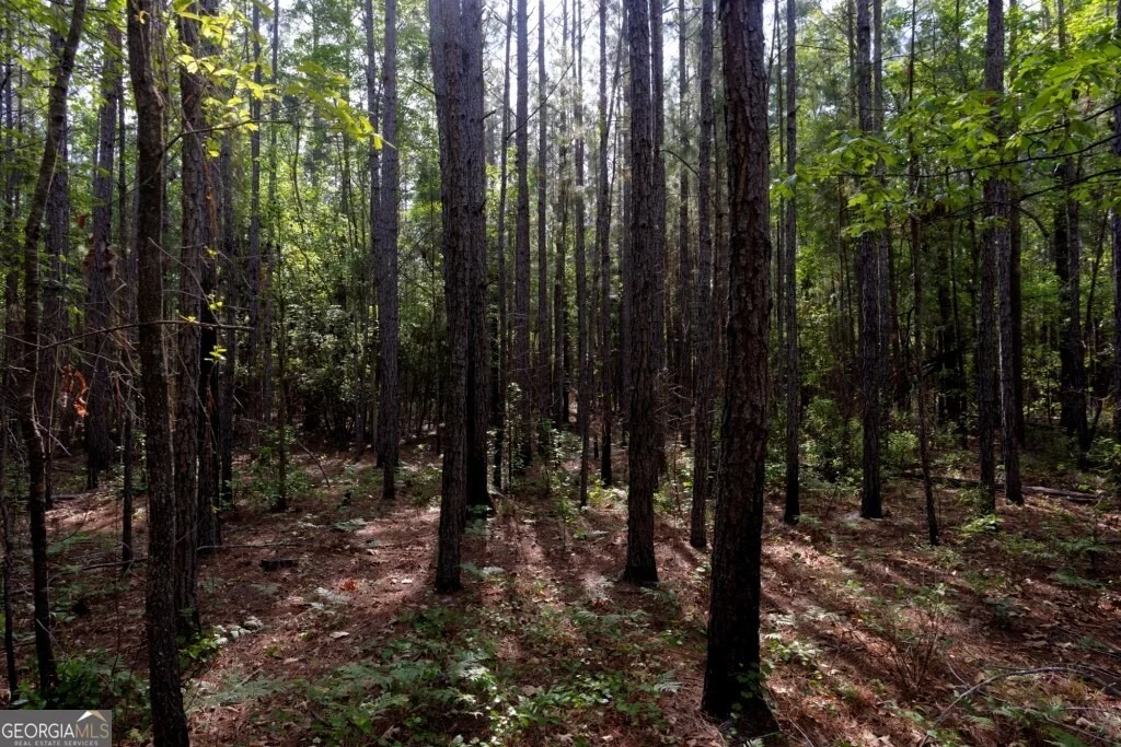 Photo of 5391 Big Pine Road
