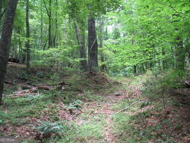 Photo of 6X Laurelwood