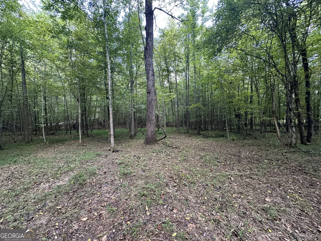 Photo of 119 Hough Johnson Road
