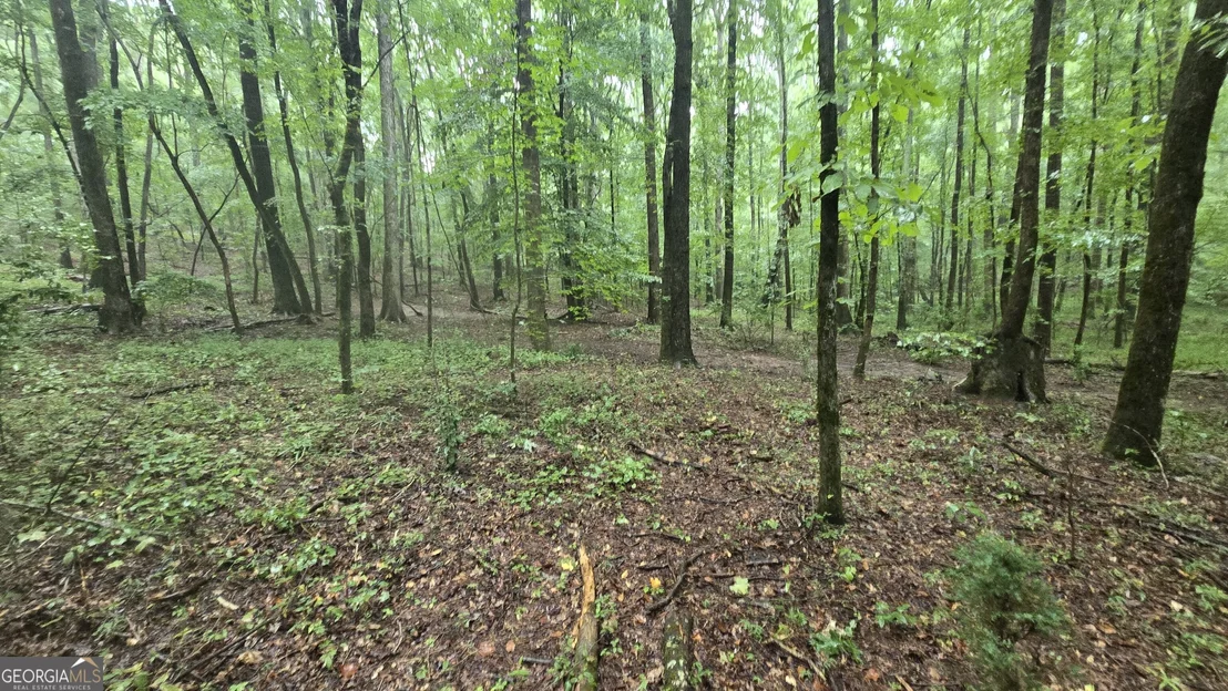 Photo of 3065 Smokey Road
