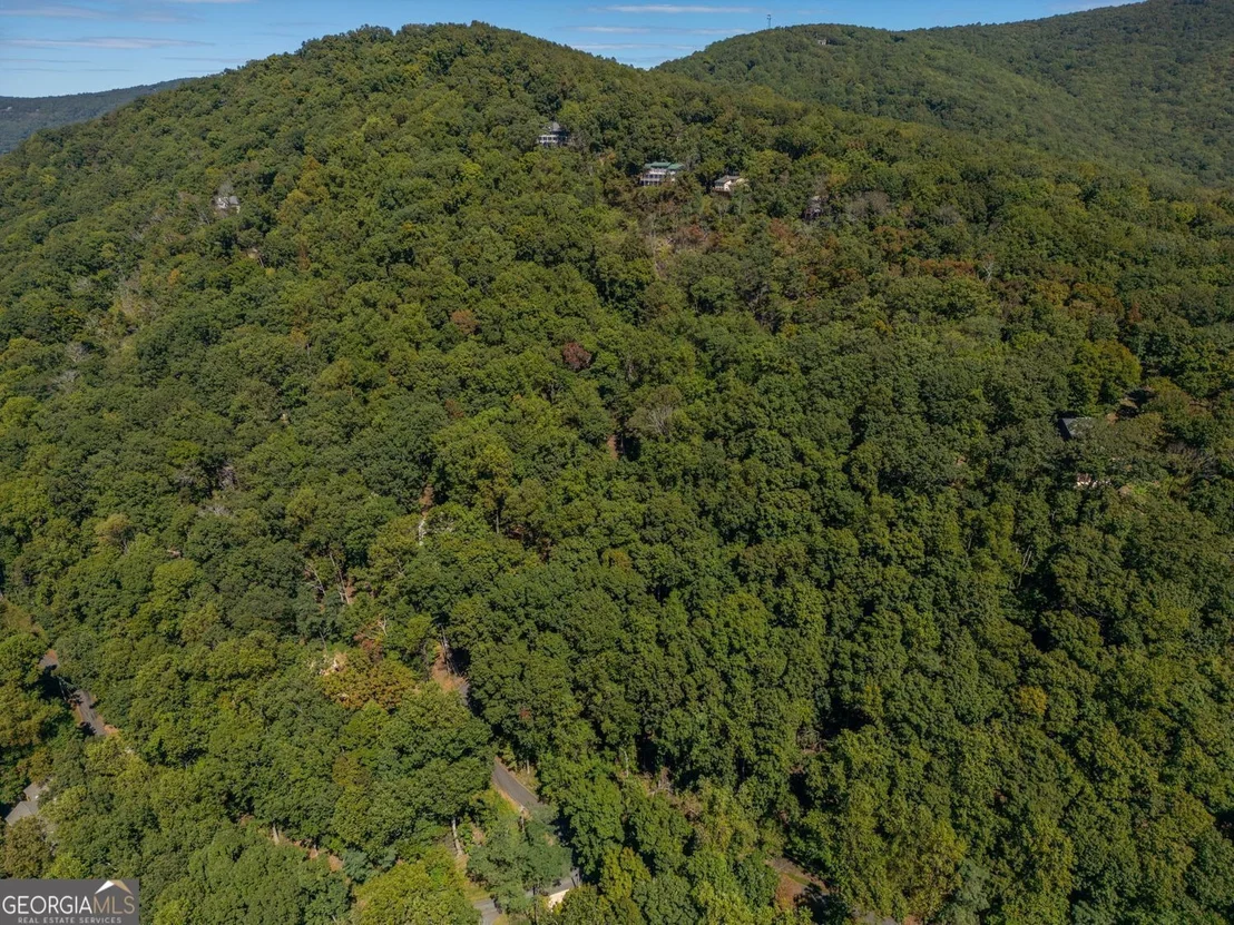 Photo of 0 Little Hendricks Mountain Road