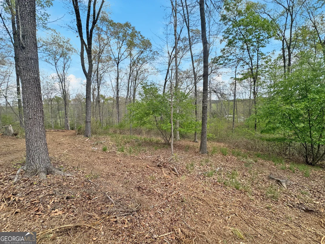 Photo of Unit LOT6 at 102 Broad River Road