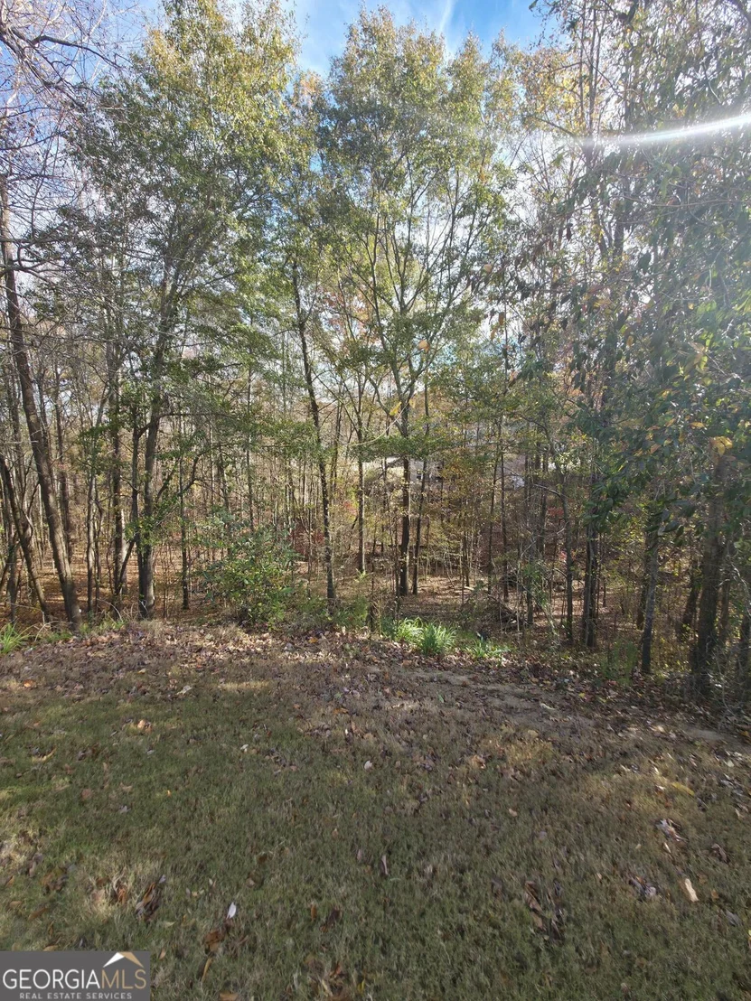 Photo of 2412 Snowshoe Bend