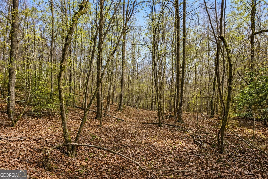 Photo of Unit LOT1 at 2345 Stonepile Road