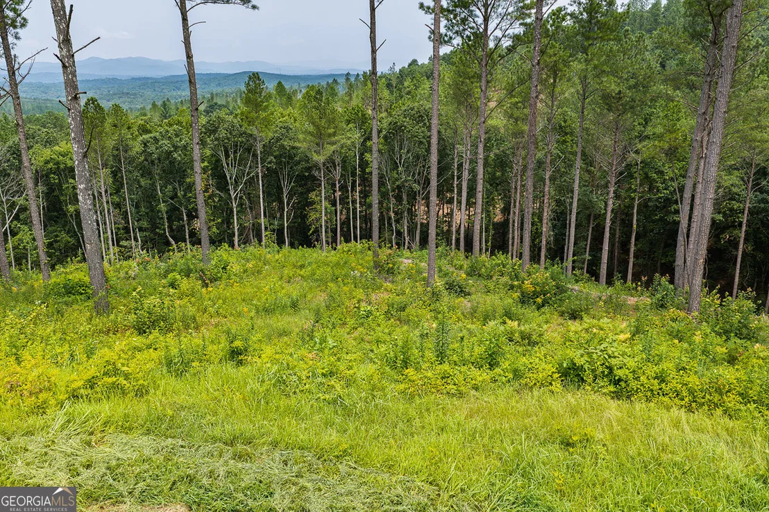 Photo of LOT 63 Lacey Springs Lane