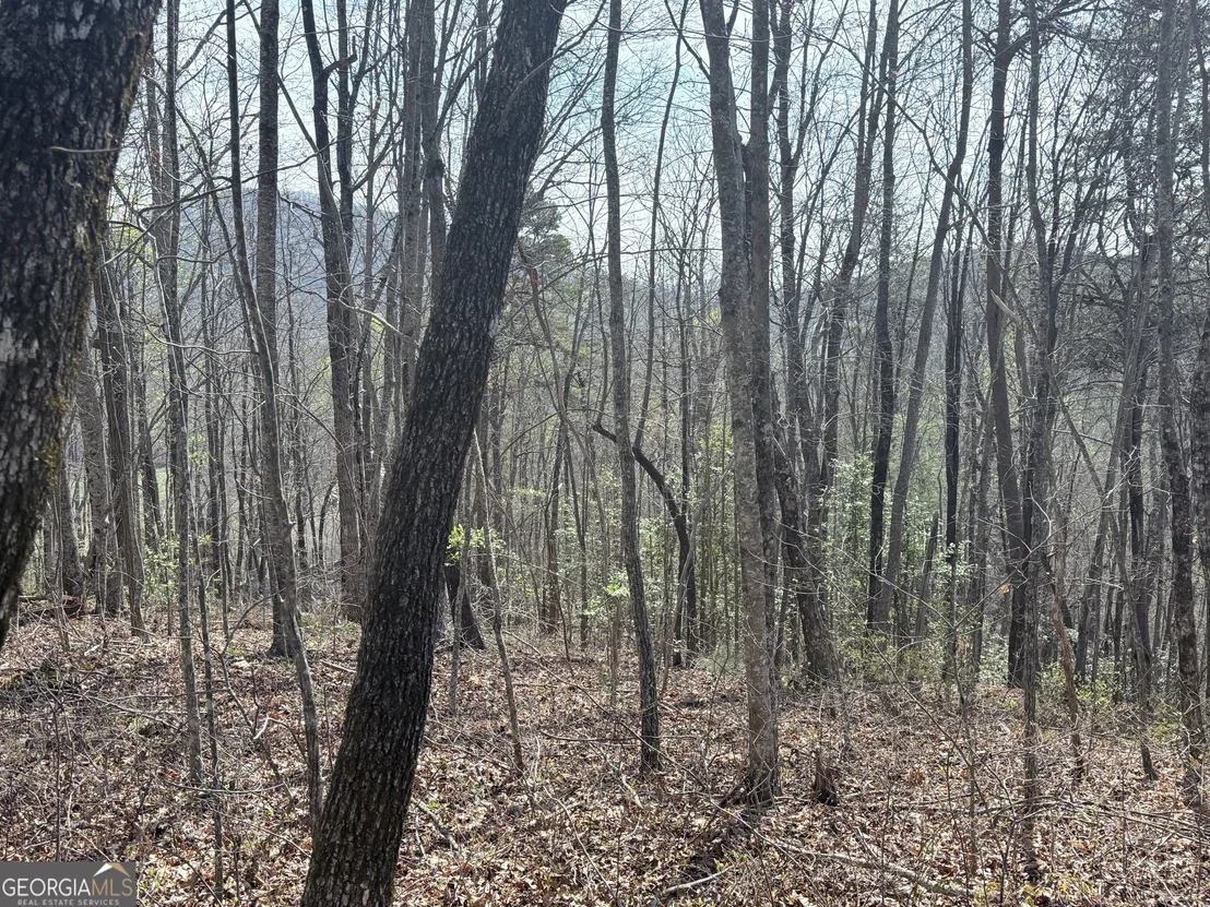 Photo of 0 Roundtop Drive