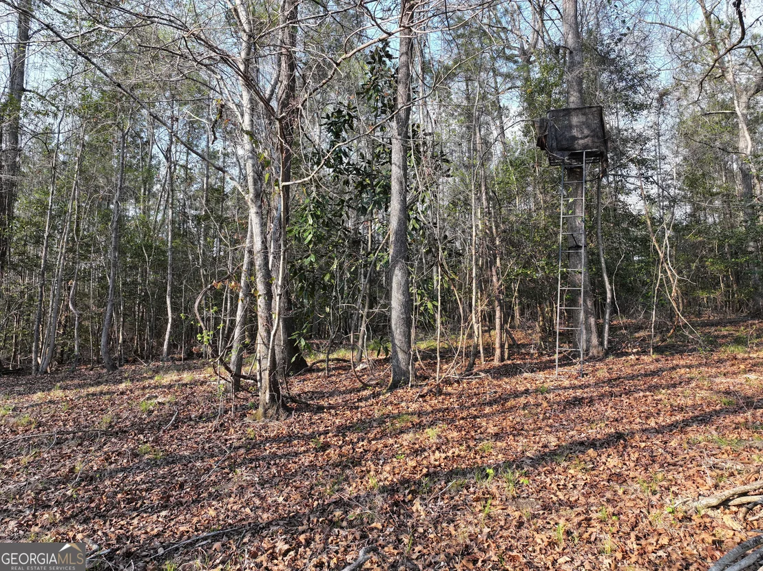 Photo of 195 County Line Road