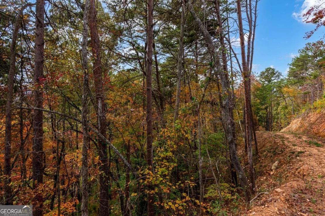 Photo of LOT 269 Canoe Way