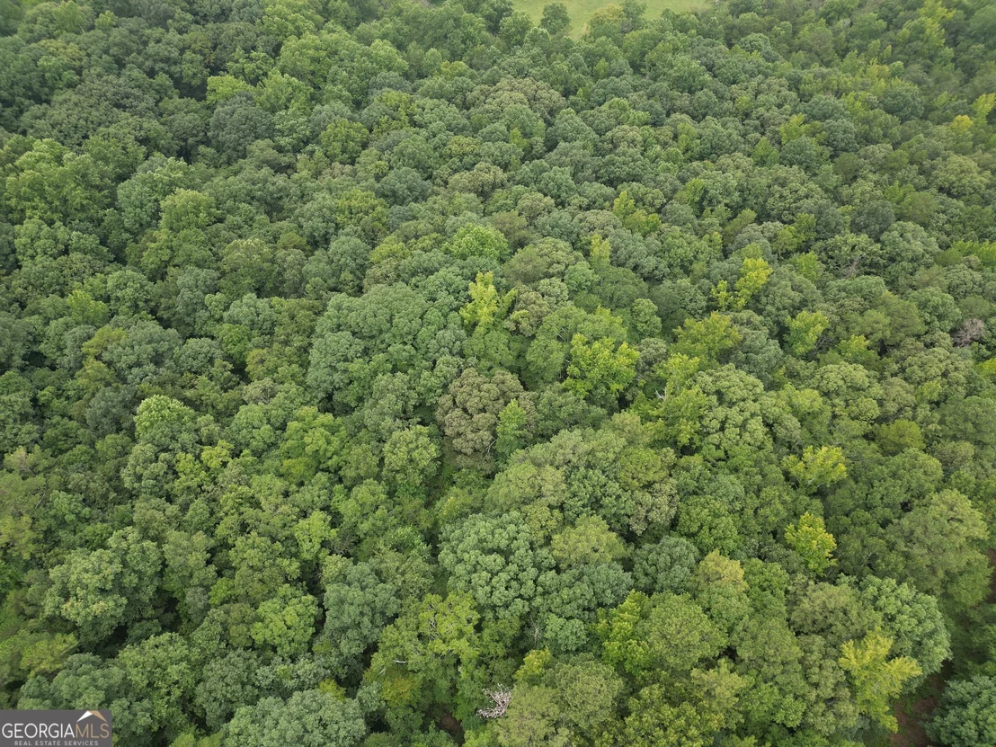 Photo of 3065 Smokey Road