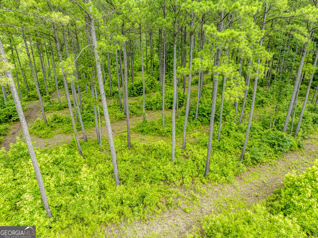 Photo of 3385 Ga Highway 83 S
